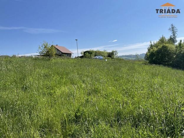 Prodej pozemku pro bydlení, Slaná, 3296 m2