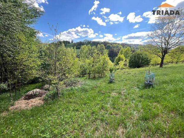 Prodej pozemku pro bydlení, Slaná, 3296 m2