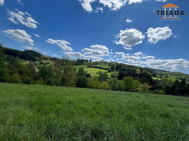 Prodej pozemku pro bydlení, Slaná, 3296 m2