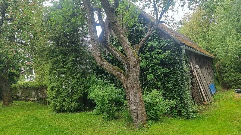 Prodej chalupy, Želetava, 120 m2