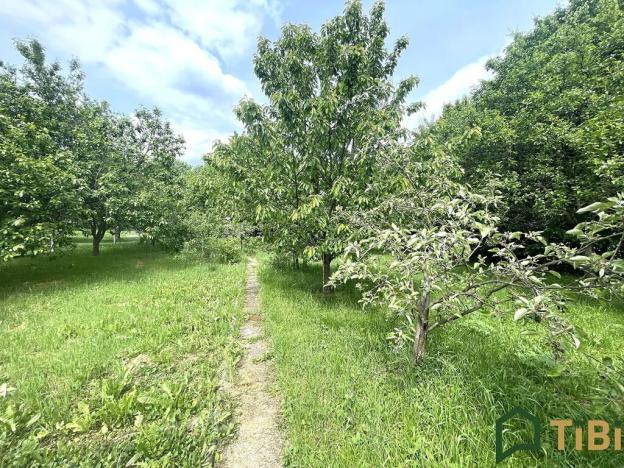 Prodej rodinného domu, Sebranice, 200 m2