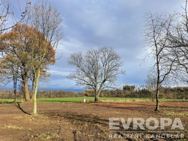 Prodej pozemku pro bydlení, Golčův Jeníkov, 2922 m2