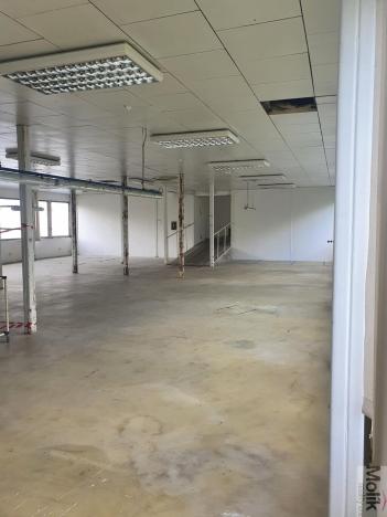 Pronájem komerční nemovitosti, Korozluky, 400 m2