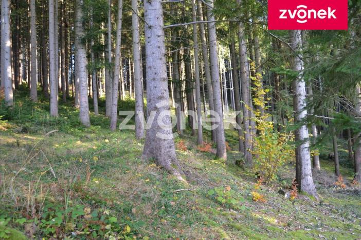 Prodej chaty, Velké Karlovice, 65 m2