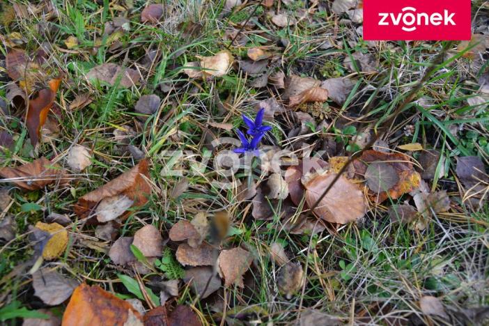 Prodej chaty, Velké Karlovice, 65 m2