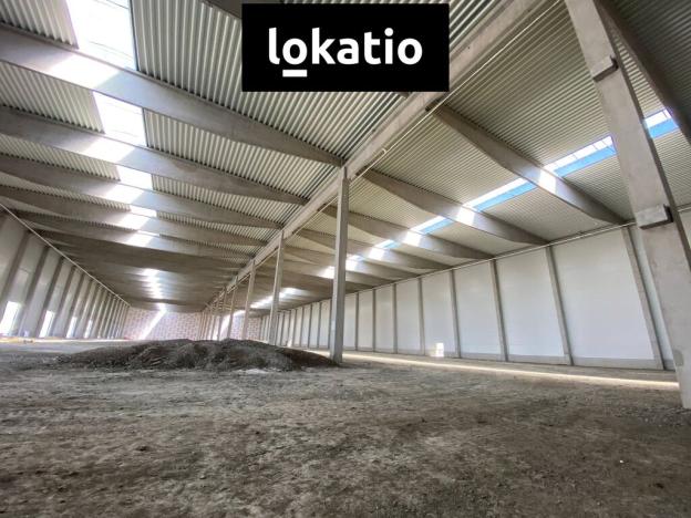 Pronájem skladu, Prostějov, 6800 m2