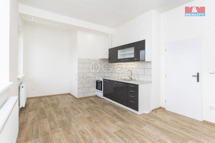 Pronájem bytu 1+1, Vysoké Mýto - Pražské Předměstí, Mánesova, 43 m2