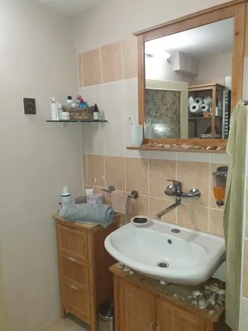 Prodej vícegeneračního domu, Břeclav, Písníky, 200 m2