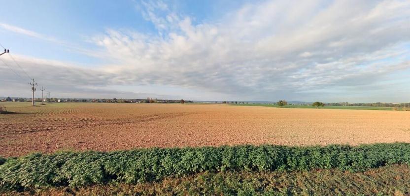 Prodej pole, Chrast, 2635 m2