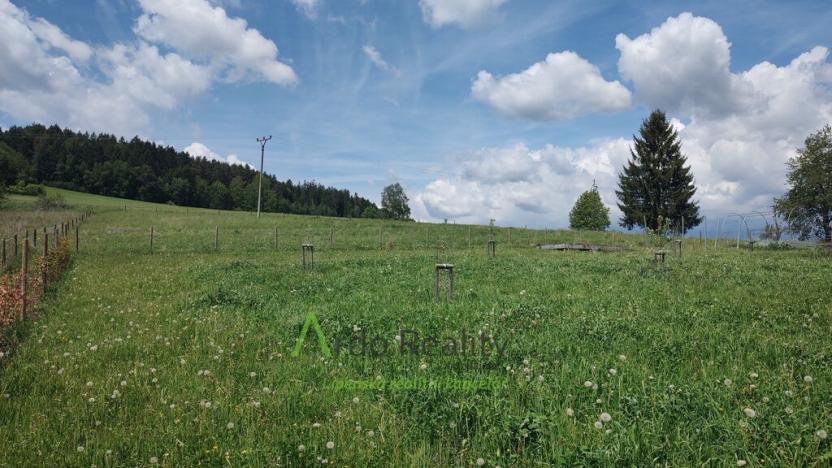 Prodej pozemku pro bydlení, Vyšší Brod - Dolní Jílovice, 6423 m2