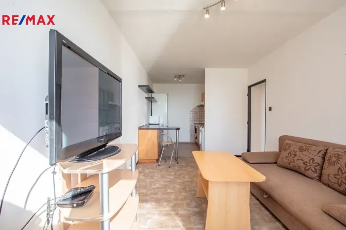 Prodej bytu 2+kk, Litvínov - Janov, Hamerská, 41 m2