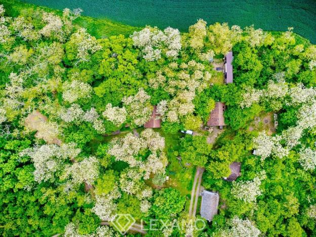 Prodej - jiné, Práče, 30 m2