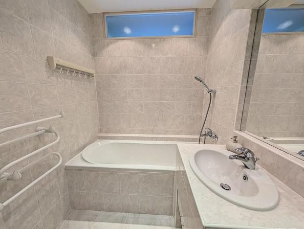Pronájem bytu 3+kk, Mladá Boleslav, Jana Palacha, 67 m2