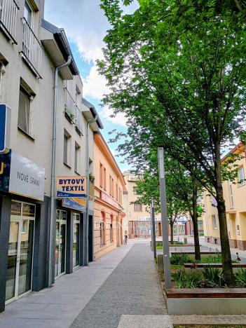 Pronájem bytu 2+kk, Veselí nad Moravou, Sokolovská, 62 m2