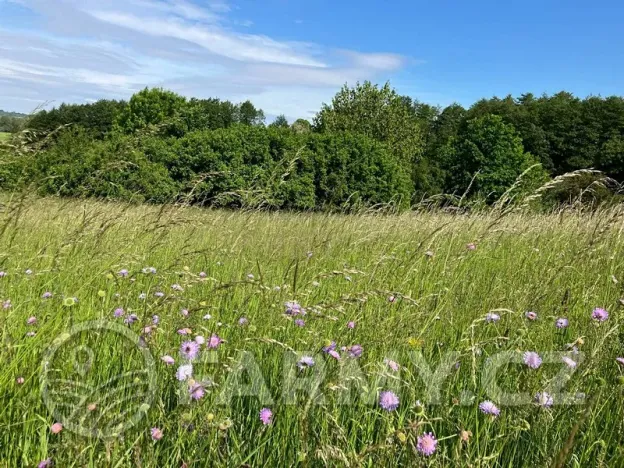 Prodej pole, Kouřim, 12974 m2