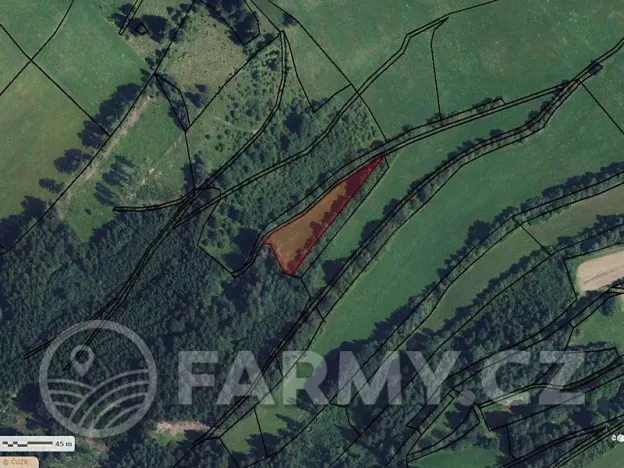 Prodej louky, Radiměř, 8400 m2