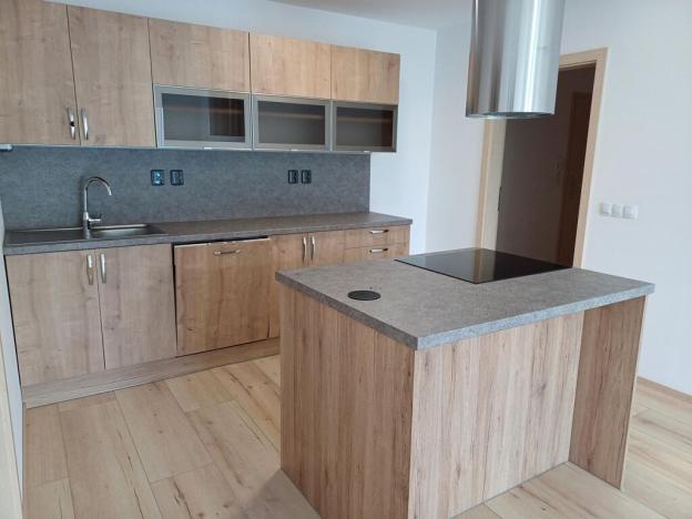 Pronájem bytu 2+kk, České Budějovice - České Budějovice 2, Na Zlaté stoce, 55 m2