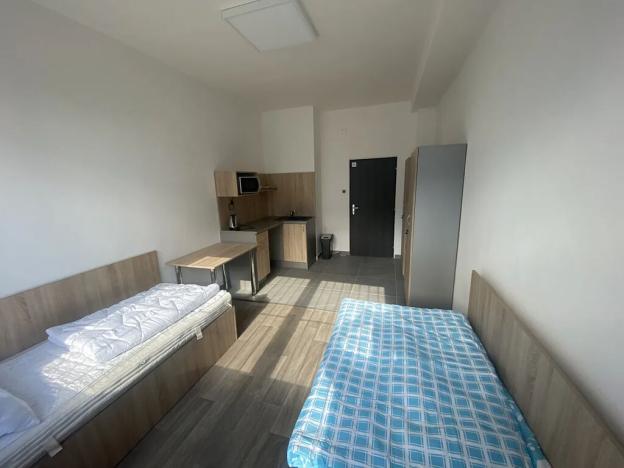 Pronájem ubytování, Dalovice, Botanická, 20 m2