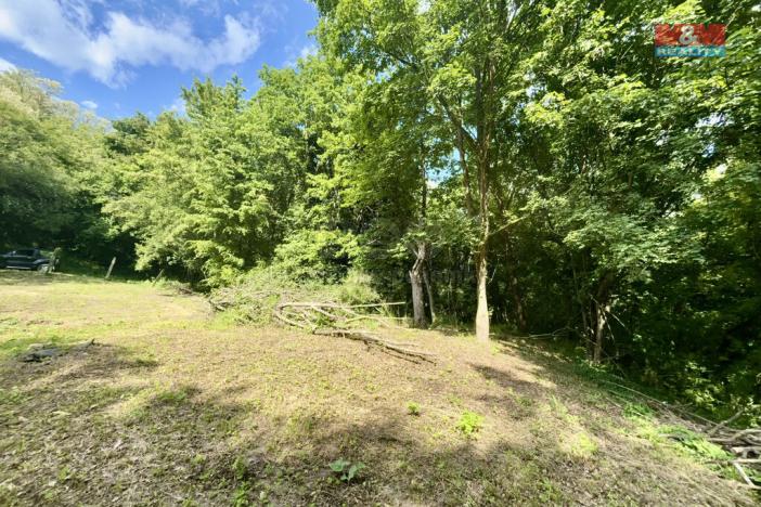 Prodej zahrady, Šarovy, 2923 m2