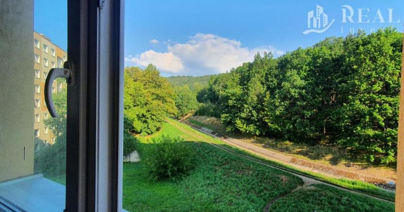 Prodej bytu 2+1, Chomutov, 17. listopadu, 62 m2