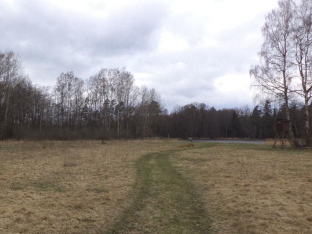Prodej pozemku, Chlum u Třeboně - Lutová, 6727 m2