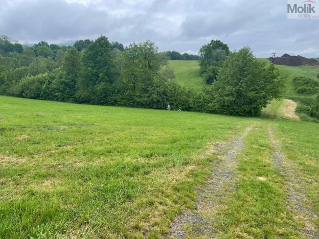 Prodej pole, Starý Jičín - Palačov, 33045 m2