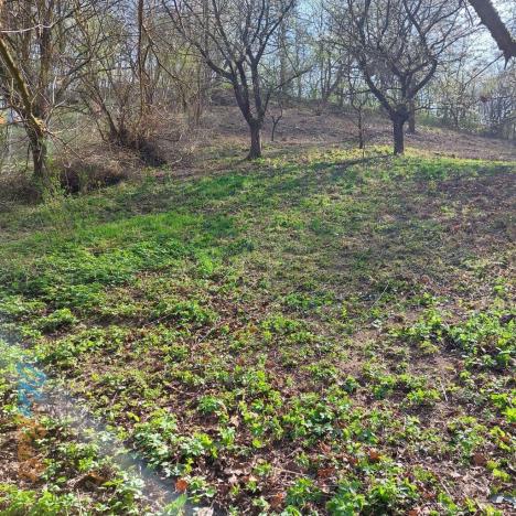 Prodej pozemku pro bydlení, Bílovice nad Svitavou, Soběšická, 1778 m2