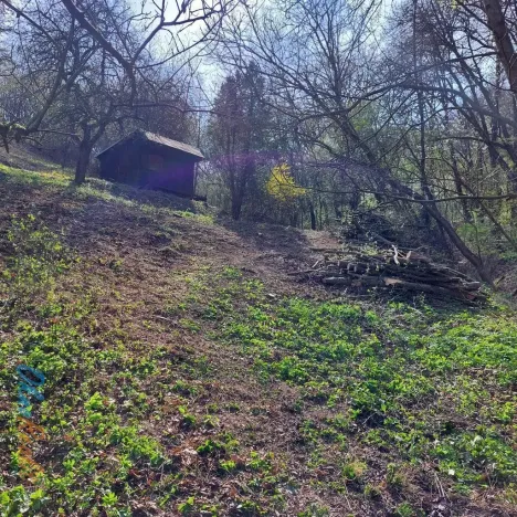 Prodej pozemku pro bydlení, Bílovice nad Svitavou, Soběšická, 1778 m2