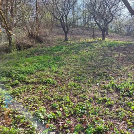 Prodej pozemku pro bydlení, Bílovice nad Svitavou, Soběšická, 1778 m2