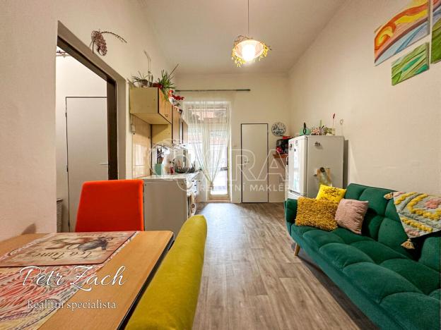 Pronájem bytu 1+1, Olomouc - Nová Ulice, Litovelská, 40 m2