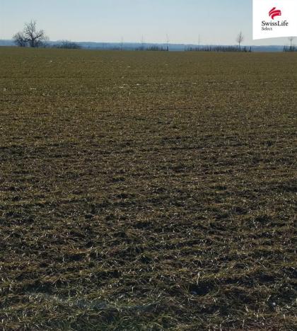 Prodej pozemku pro bydlení, Hrušovany nad Jevišovkou, 4538 m2