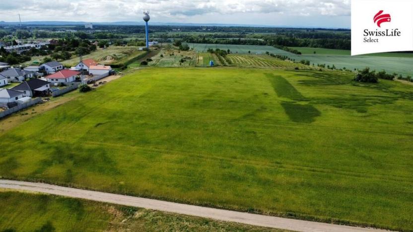 Prodej pozemku pro bydlení, Hrušovany nad Jevišovkou, 4538 m2