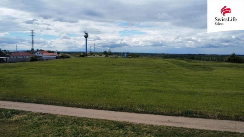 Prodej pozemku pro bydlení, Hrušovany nad Jevišovkou, 4538 m2