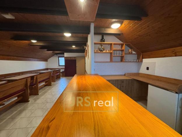 Prodej - jiné, Velké Bílovice, 285 m2