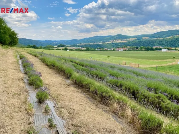 Prodej chalupy, Nezabudice, 230 m2