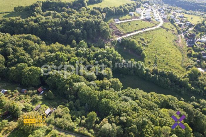 Prodej lesa, Zlín, Mařinková, 10191 m2