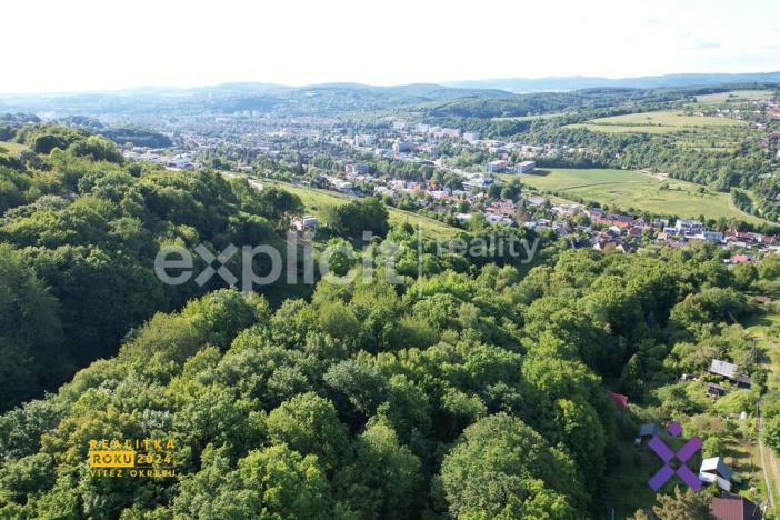 Prodej lesa, Zlín, Mařinková, 10191 m2