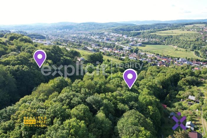 Prodej lesa, Zlín, Mařinková, 10191 m2