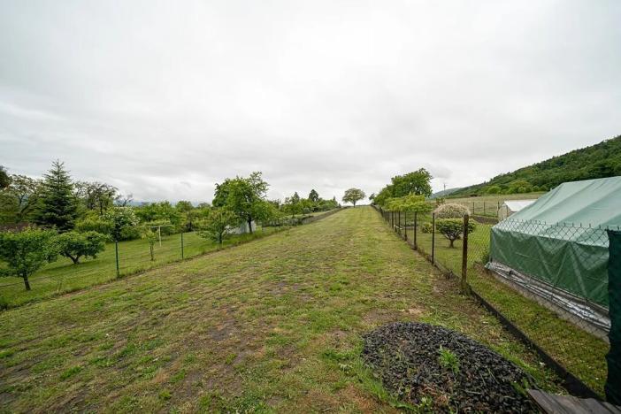 Prodej rodinného domu, Hrabůvka, 267 m2