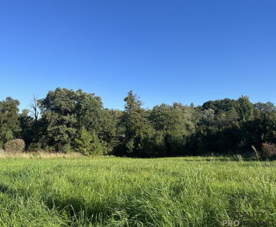 Prodej komerčního pozemku, Třinec - Konská, 2450 m2