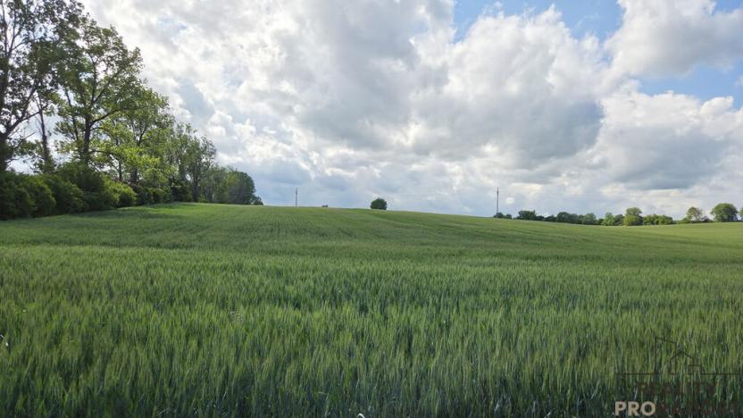 Prodej pole, Kyjov, 2649 m2