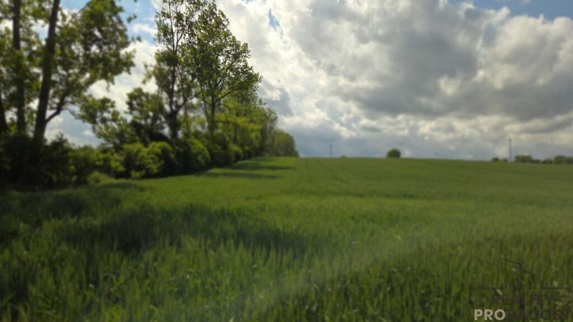 Prodej pole, Kyjov, 2649 m2