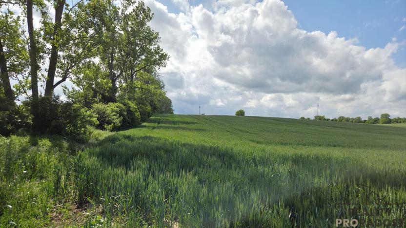 Prodej pole, Kyjov, 2649 m2