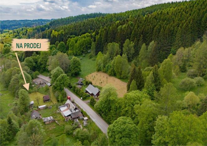 Prodej pozemku pro bydlení, Zlatá Olešnice, 4895 m2