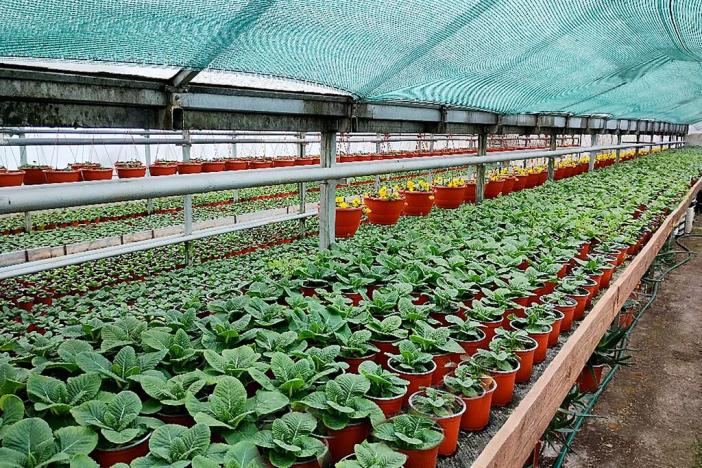 Prodej rodinného domu, Miřetice, 159 m2