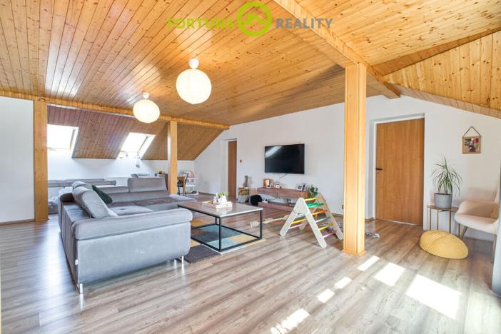 Prodej vícegeneračního domu, Studénka, 2. května, 318 m2