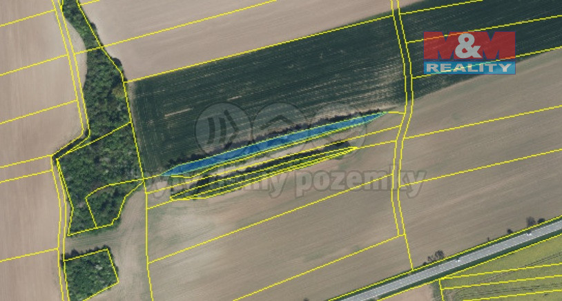 Prodej lesa, Kočí, 5803 m2