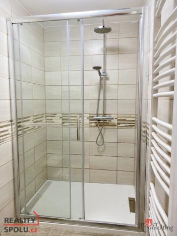 Pronájem bytu 1+1, Opava - Předměstí, Zámecký okruh, 40 m2