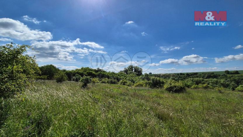 Prodej pozemku pro bydlení, Hrušovany, 30076 m2