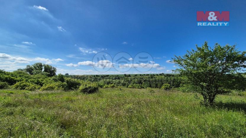 Prodej pozemku pro bydlení, Hrušovany, 30076 m2